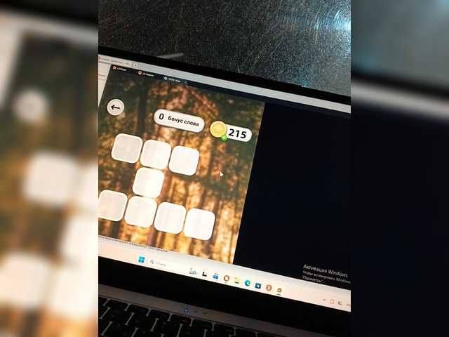 Mrnodobyser live cam preview
