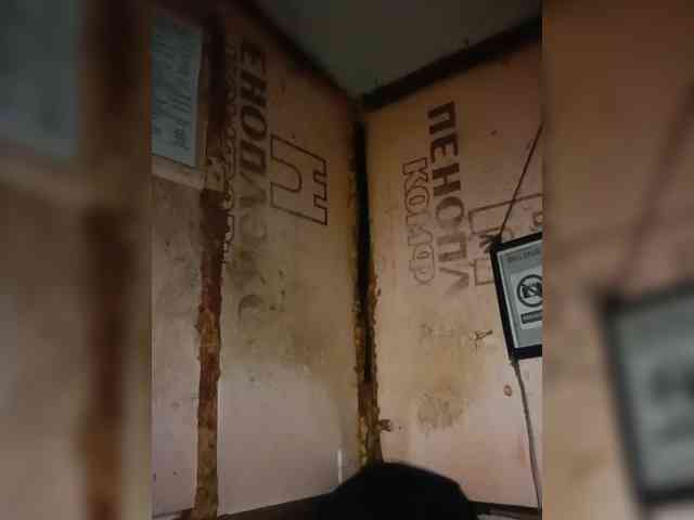 MrNobodykaef