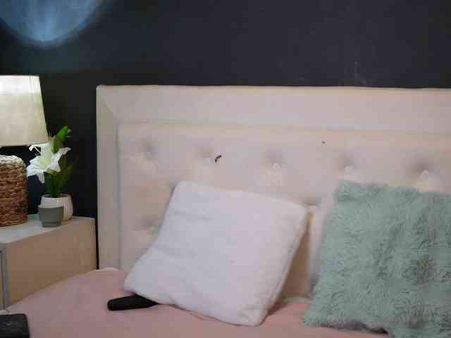 DaliaParis webcam