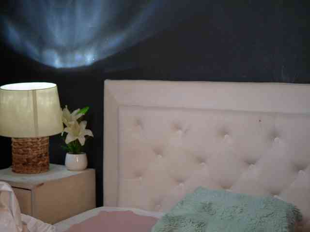 DaliaParis webcam