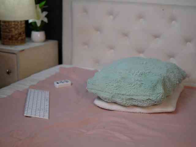 DaliaParis webcam