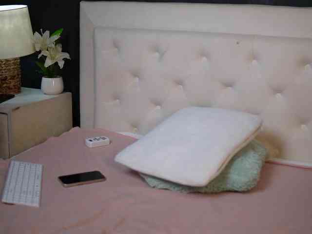 DaliaParis webcam