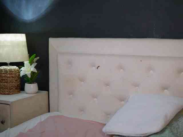 DaliaParis webcam