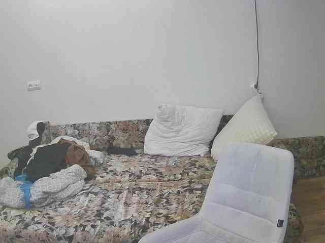 Модель: zenkal