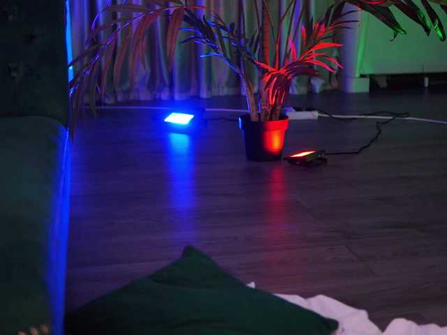OlyviaDelight