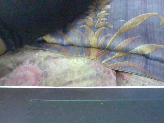 Elysa7 — live female cam