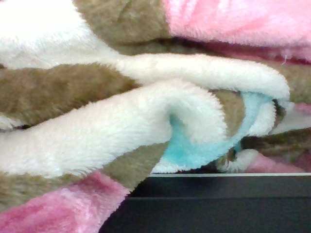Elysa7 live cam on BongaCams