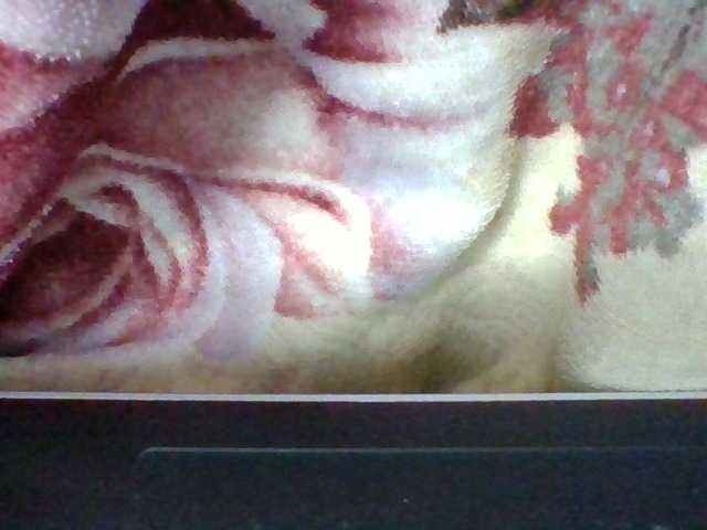 Elysa7