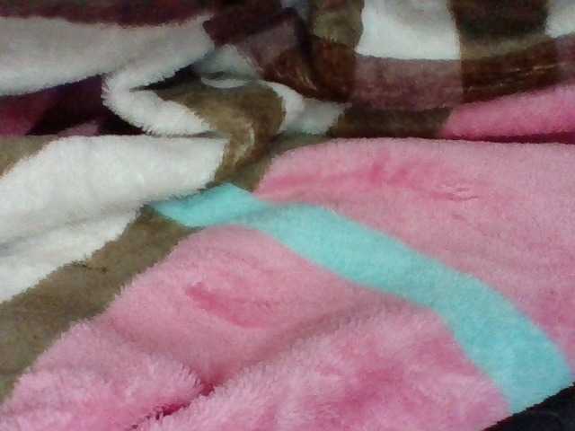Elysa7