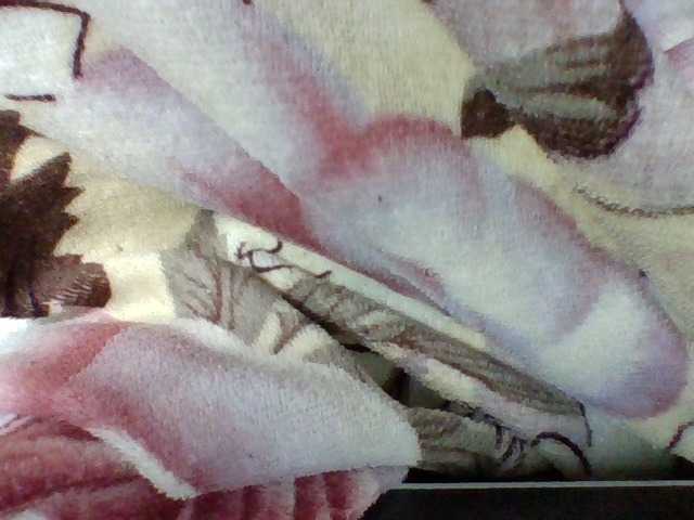 Elysa7 live cam on BongaCams