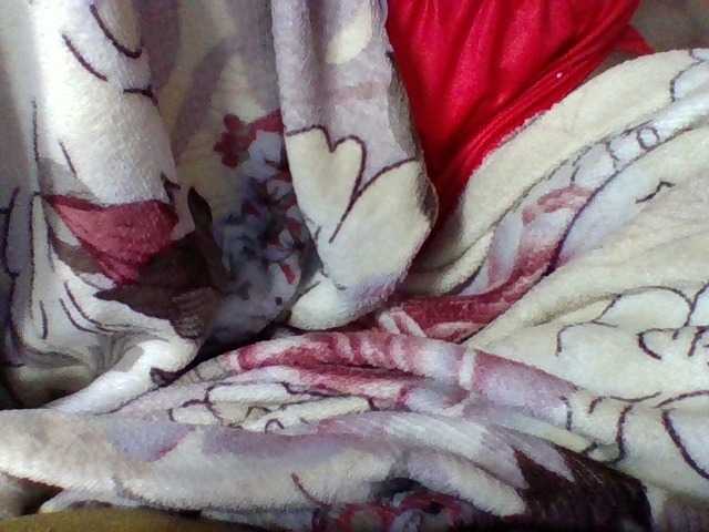 Elysa7 live webcam show