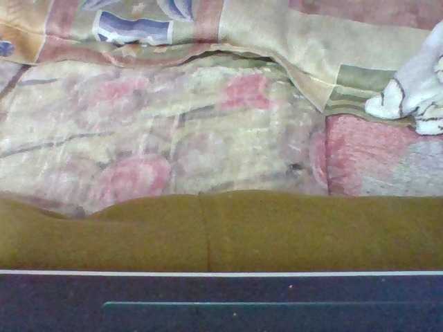Elysa7 live cam on BongaCams
