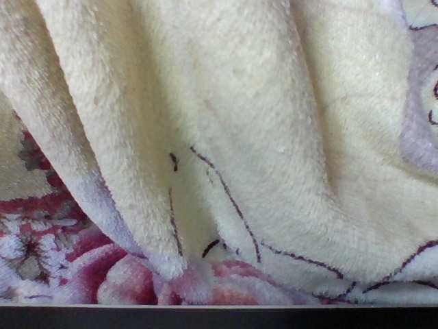 Elysa7 live cam on BongaCams