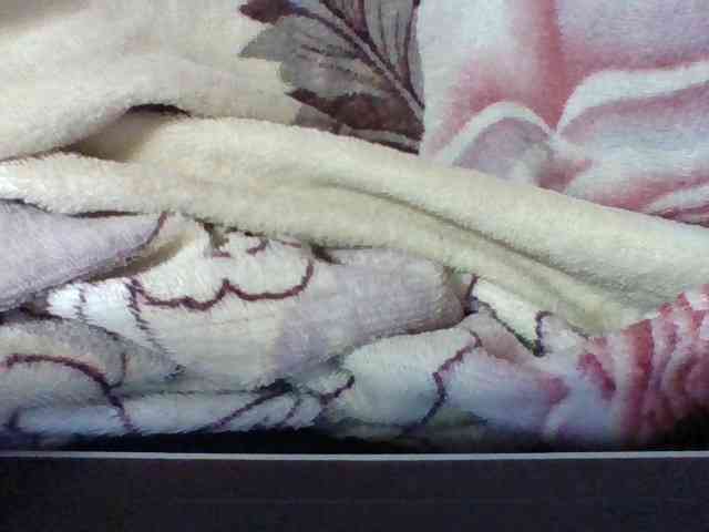Elysa7 webcam