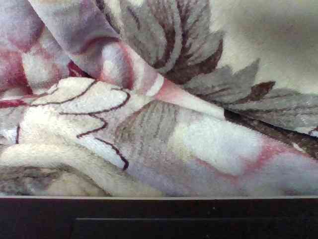 Elysa7 webcam