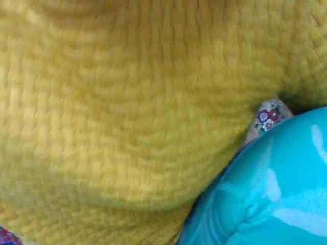 Elysa7 webcam