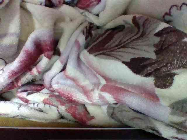 Elysa7 webcam