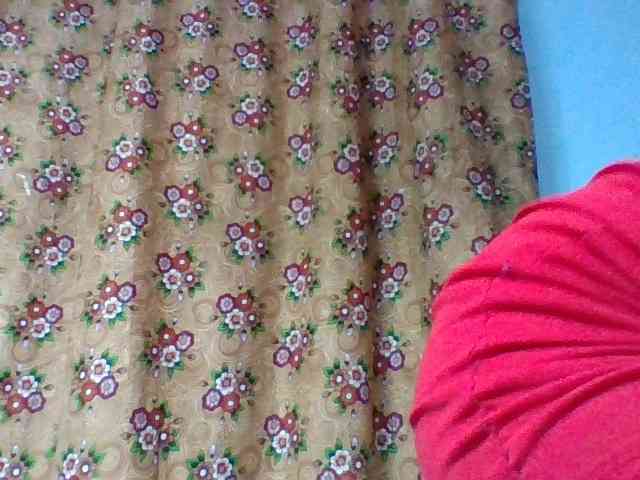 Elysa7 webcam