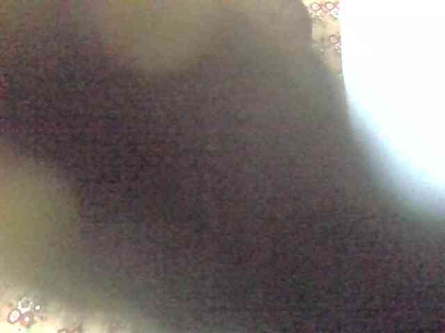 Elysa7 webcam