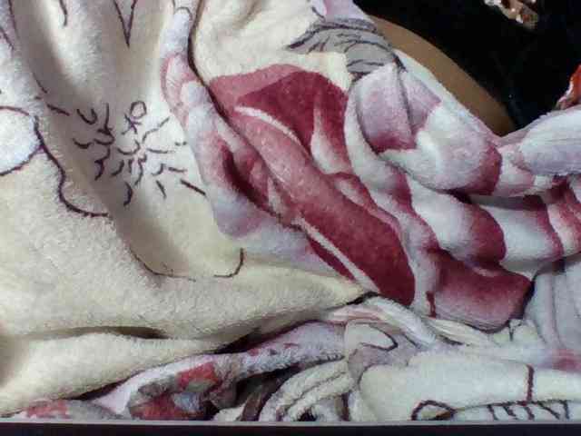 Elysa7 webcam