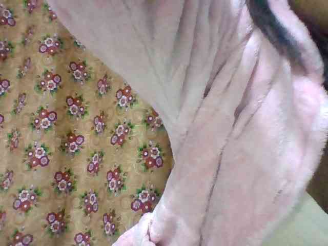 Elysa7 webcam