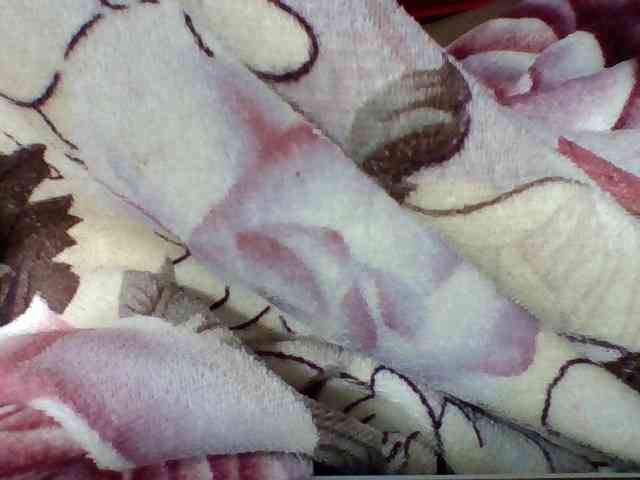 Elysa7 webcam