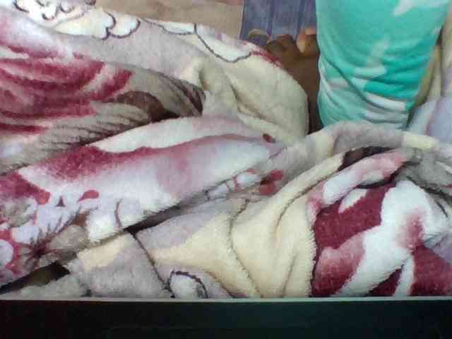 Elysa7 webcam