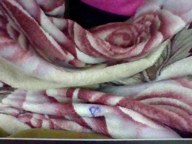Elysa7 webcam