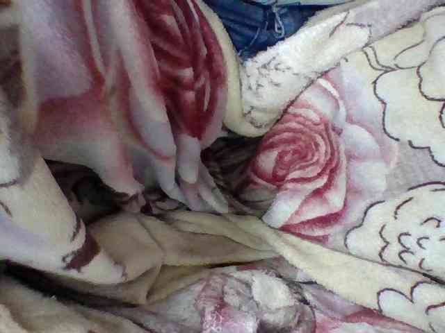 Elysa7 webcam
