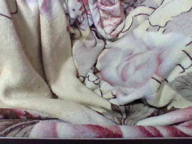 Elysa7 webcam