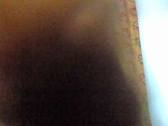 Elysa7 webcam