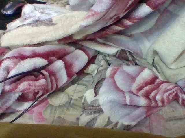 Elysa7 webcam