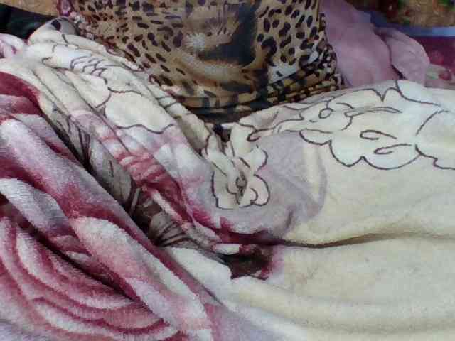 Elysa7 webcam