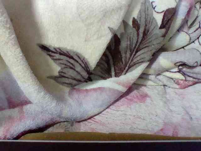 Elysa7 webcam