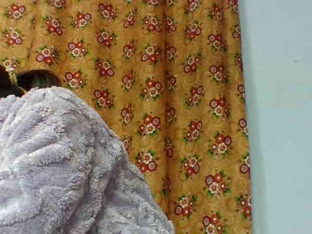 Elysa7 webcam