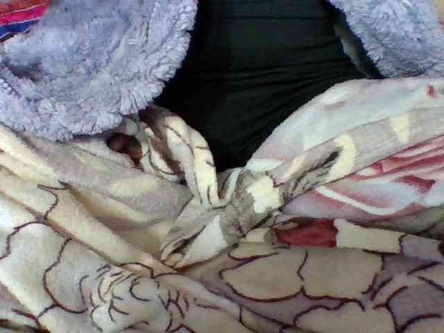 Elysa7 webcam