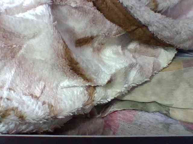 Elysa7 webcam