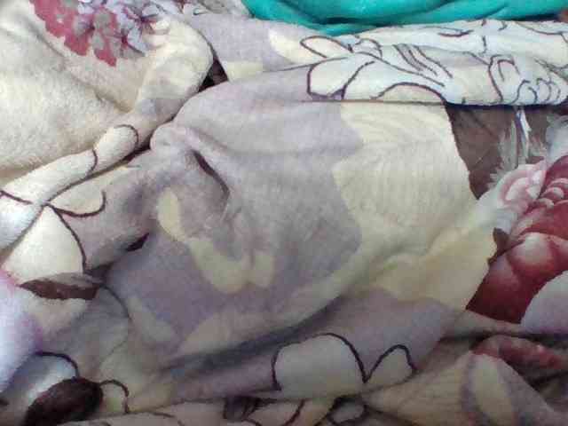 Elysa7 webcam