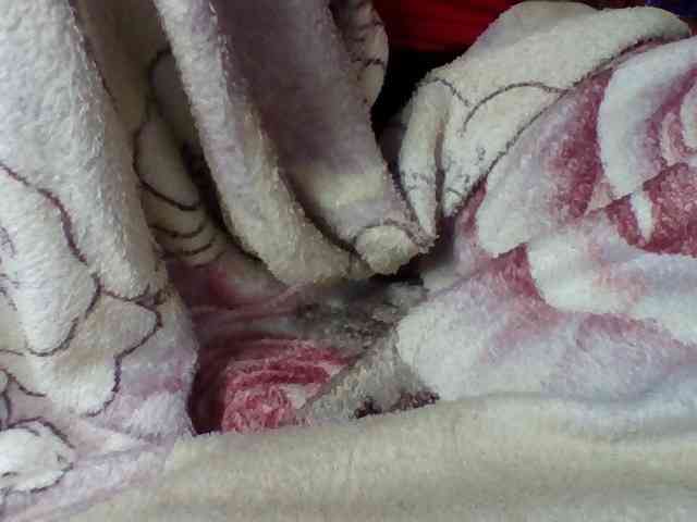 Elysa7 webcam