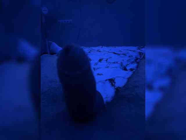 Noname213a