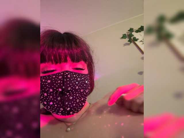 -Wet-Kitty-