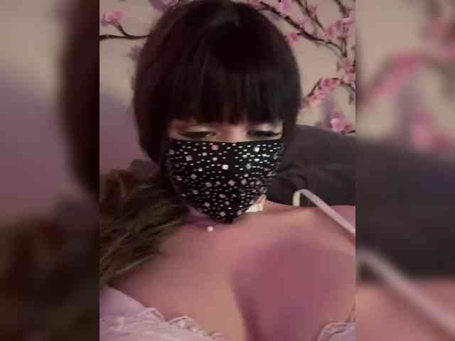 Модель: WetKitty