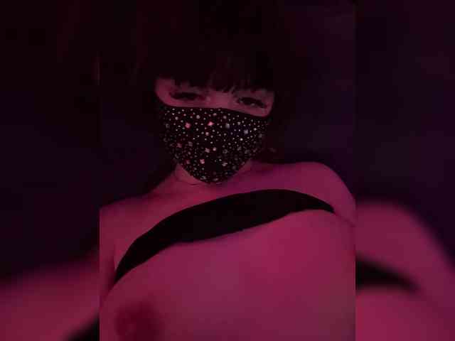 -Wet-Kitty-