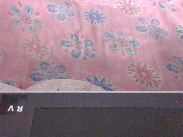 Lyah7a webcam