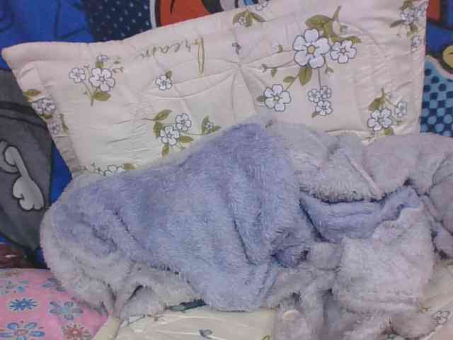Lyah7a webcam
