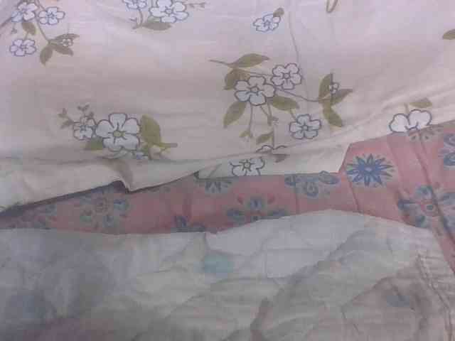 Lyah7a webcam