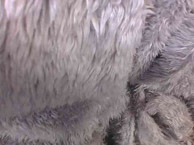 Lyah7a webcam
