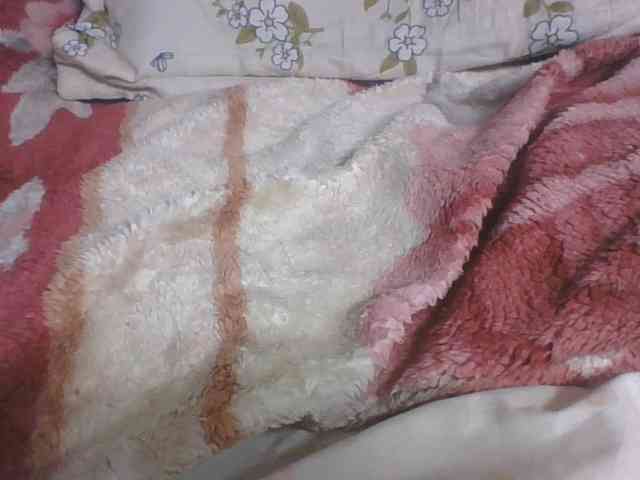 Lyah7a webcam