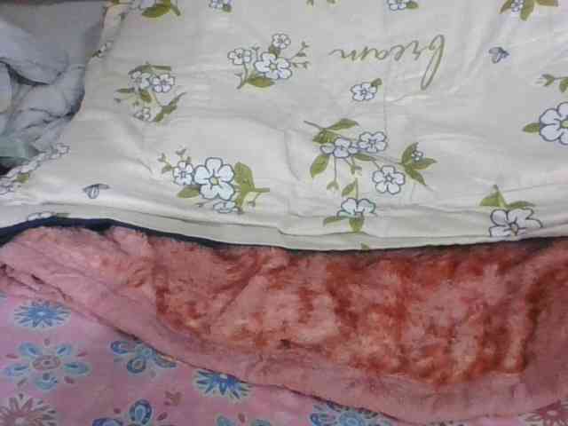 Lyah7a webcam