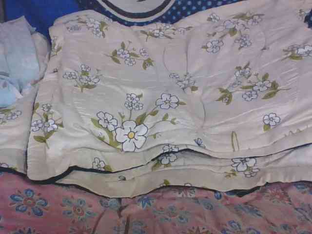 Lyah7a webcam